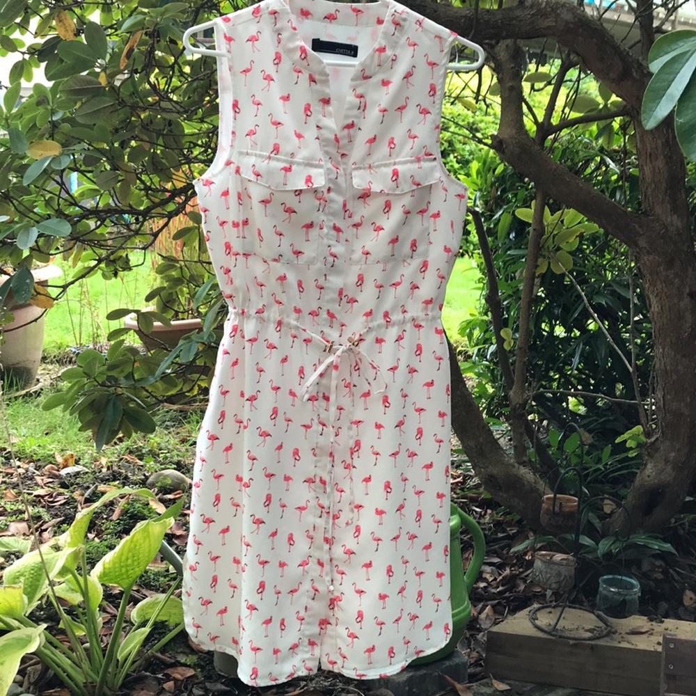 Flamingo Print Shirt Dress